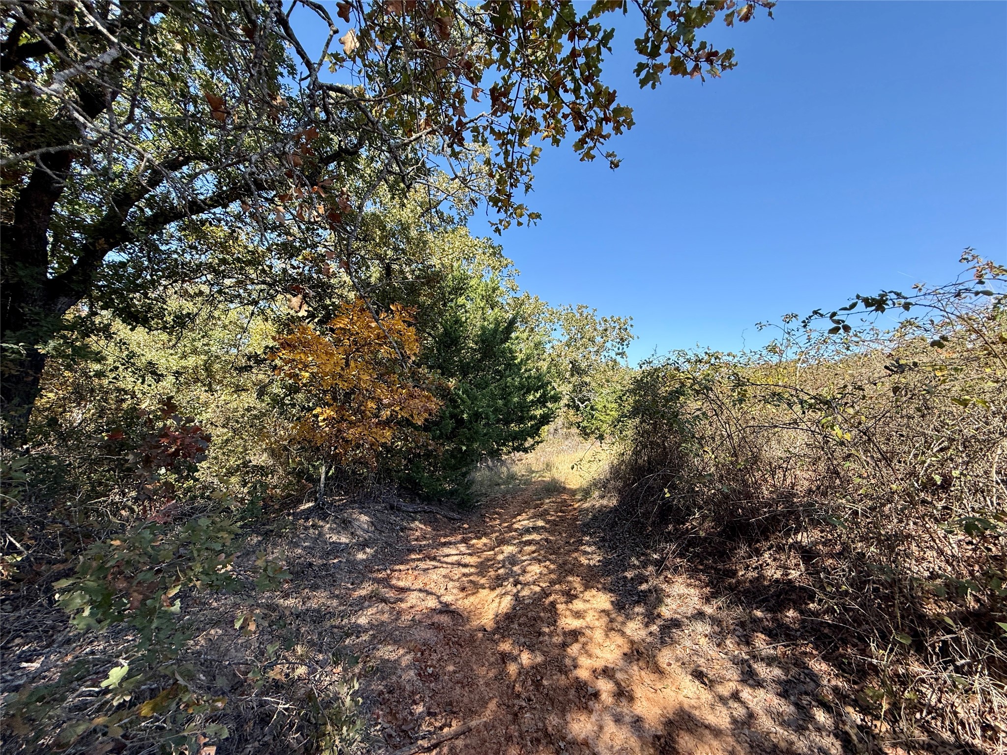Tbd Big Tree Road Montague TX 76251