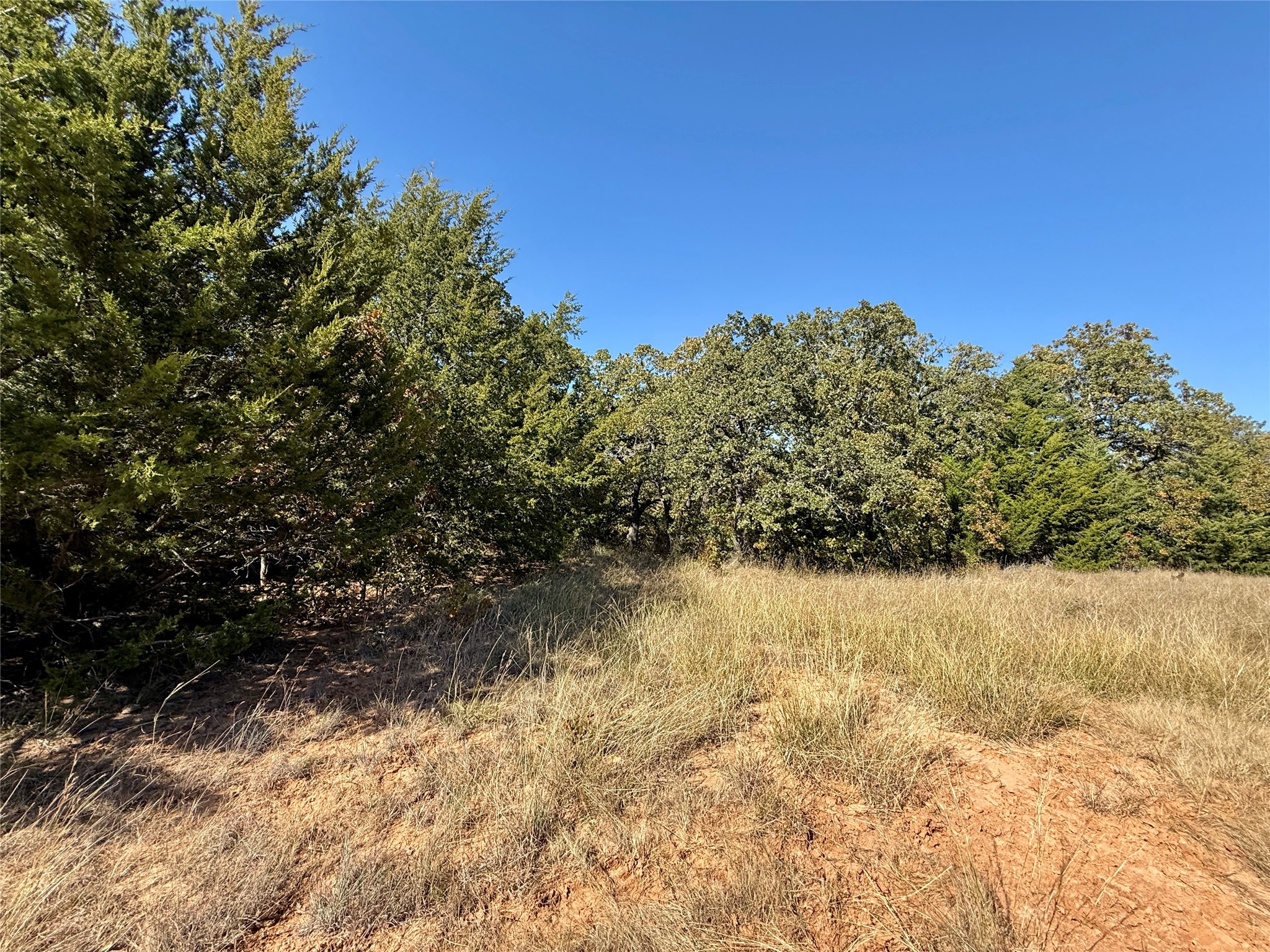 Tbd Big Tree Road Montague TX 76251