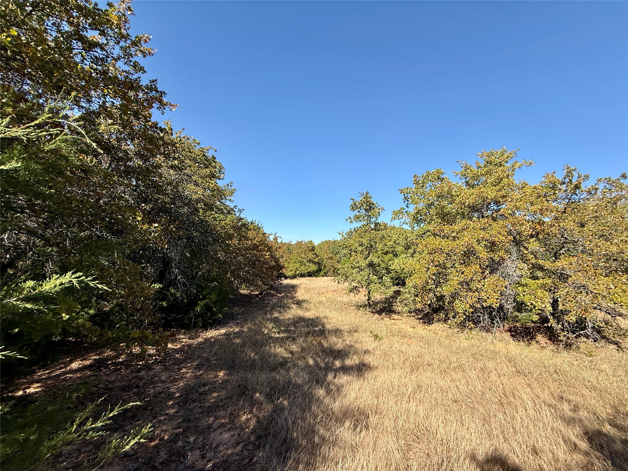 Tbd Big Tree Road Montague TX 76251