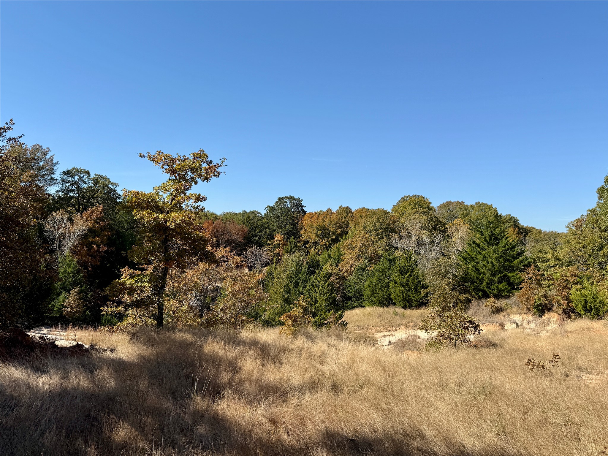 Tbd Big Tree Road Montague TX 76251