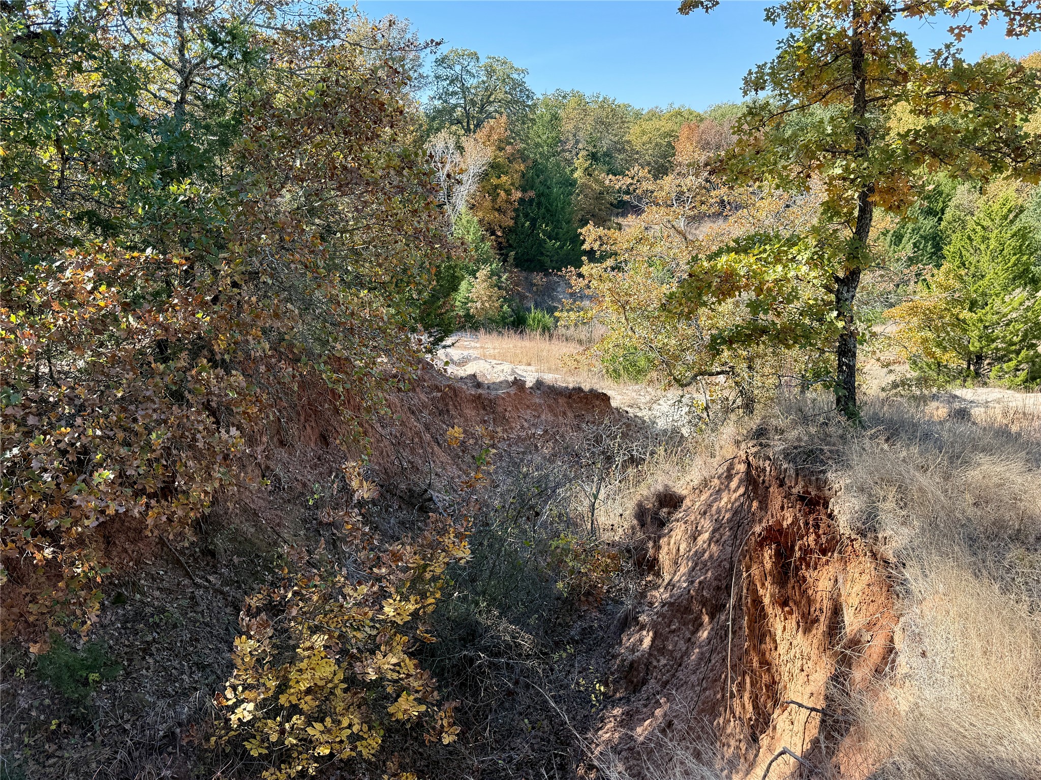 Tbd Big Tree Road Montague TX 76251