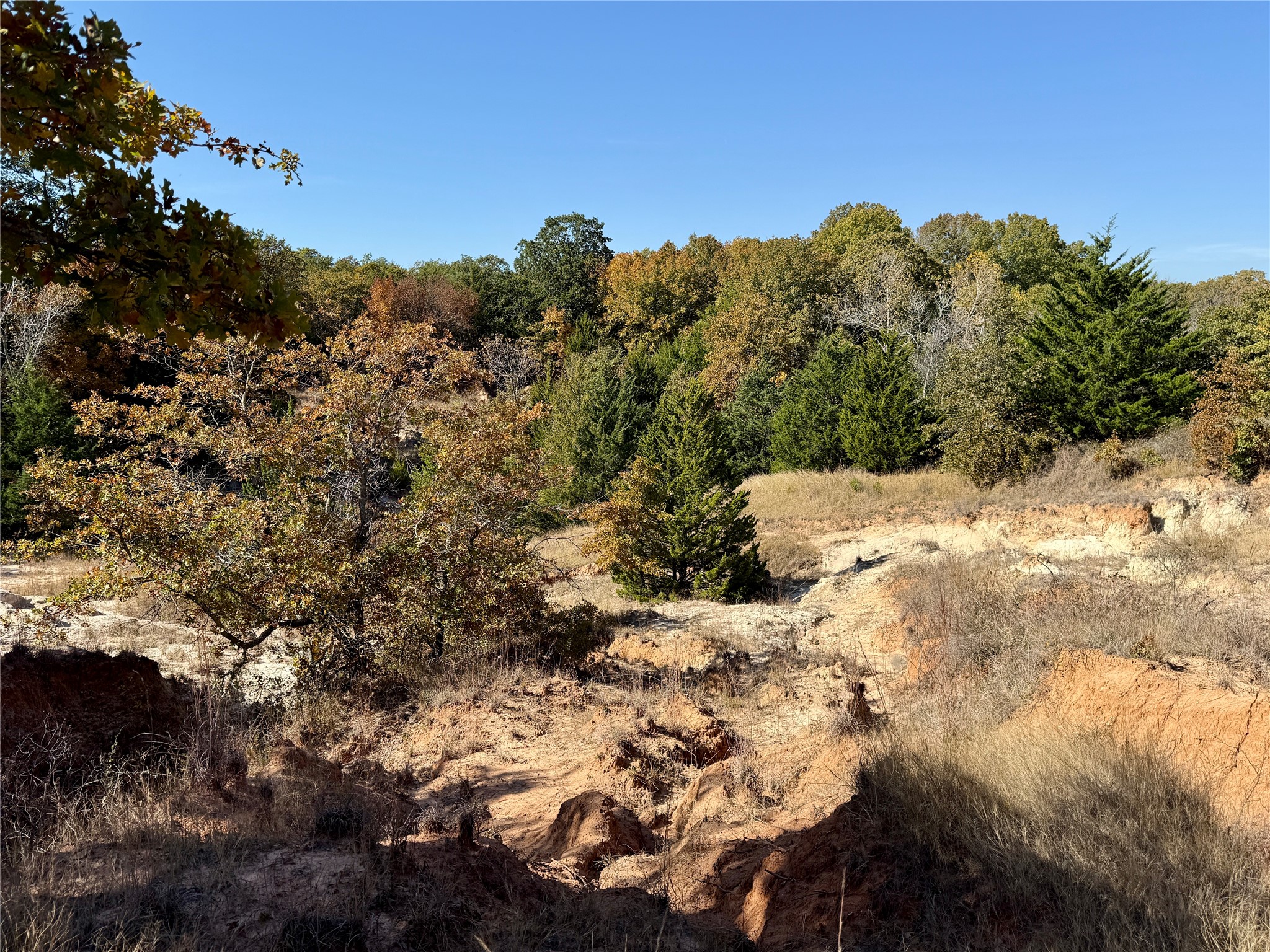 Tbd Big Tree Road Montague TX 76251