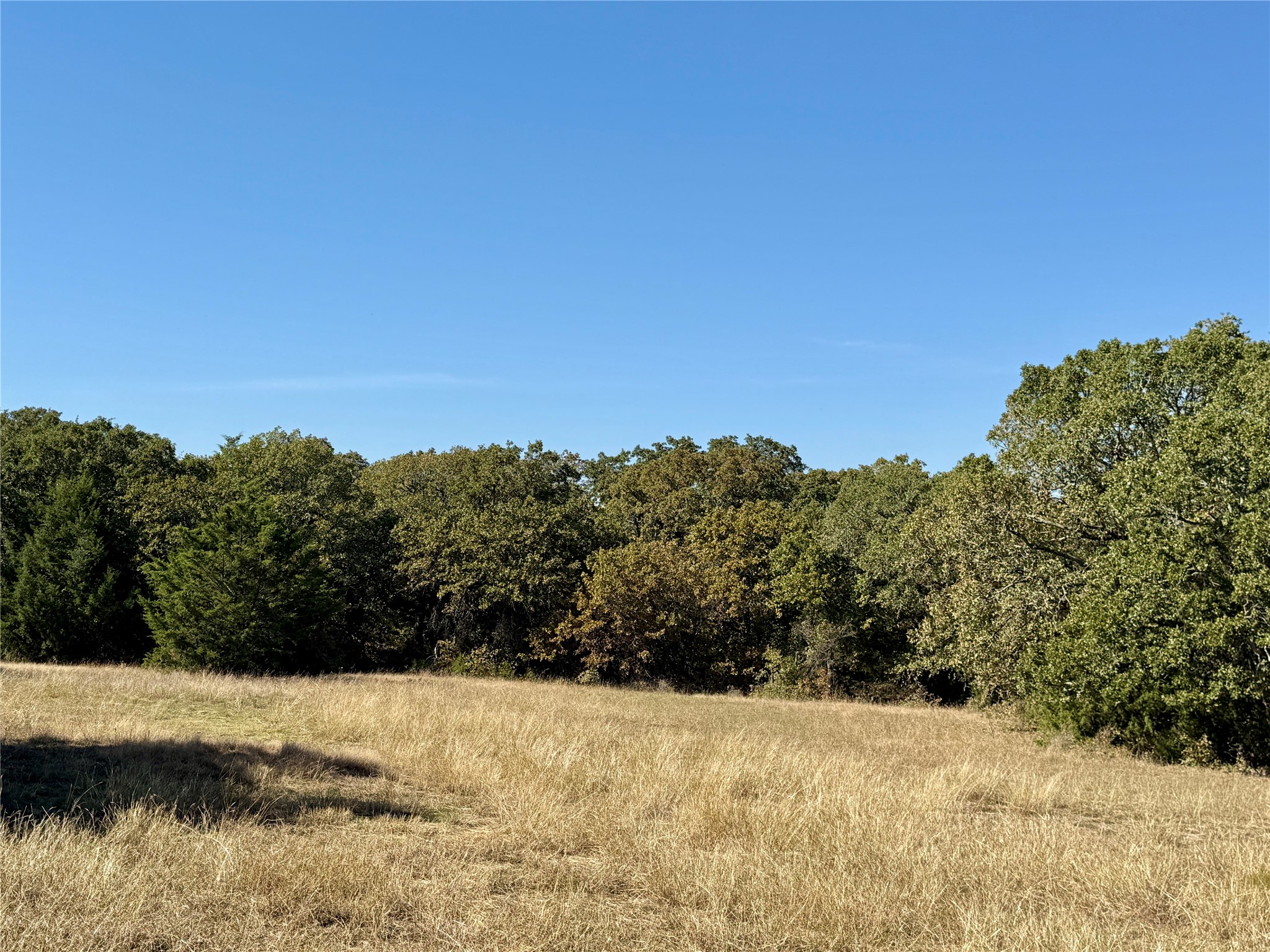Tbd Big Tree Road Montague TX 76251