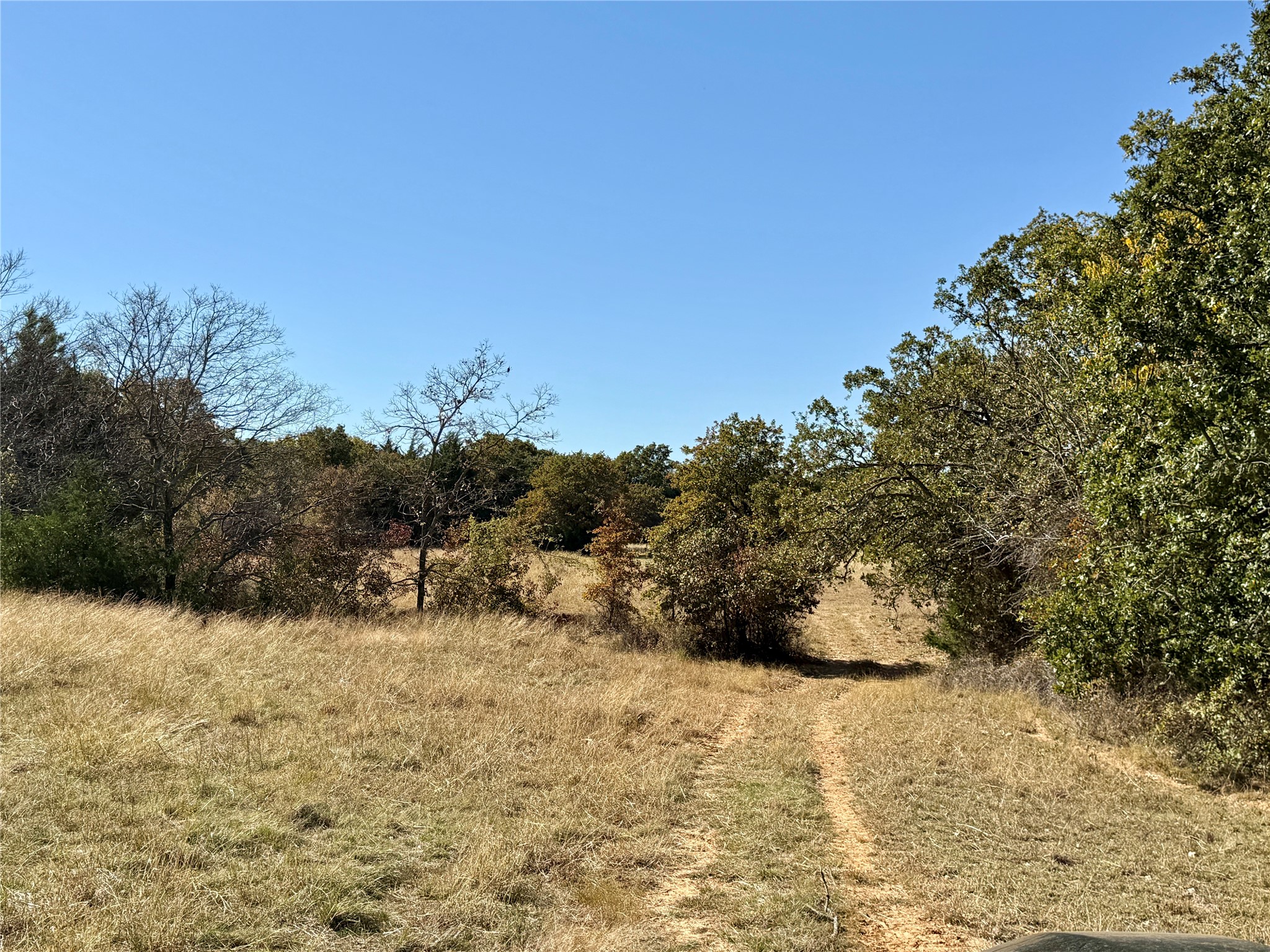 Tbd Big Tree Road Montague TX 76251