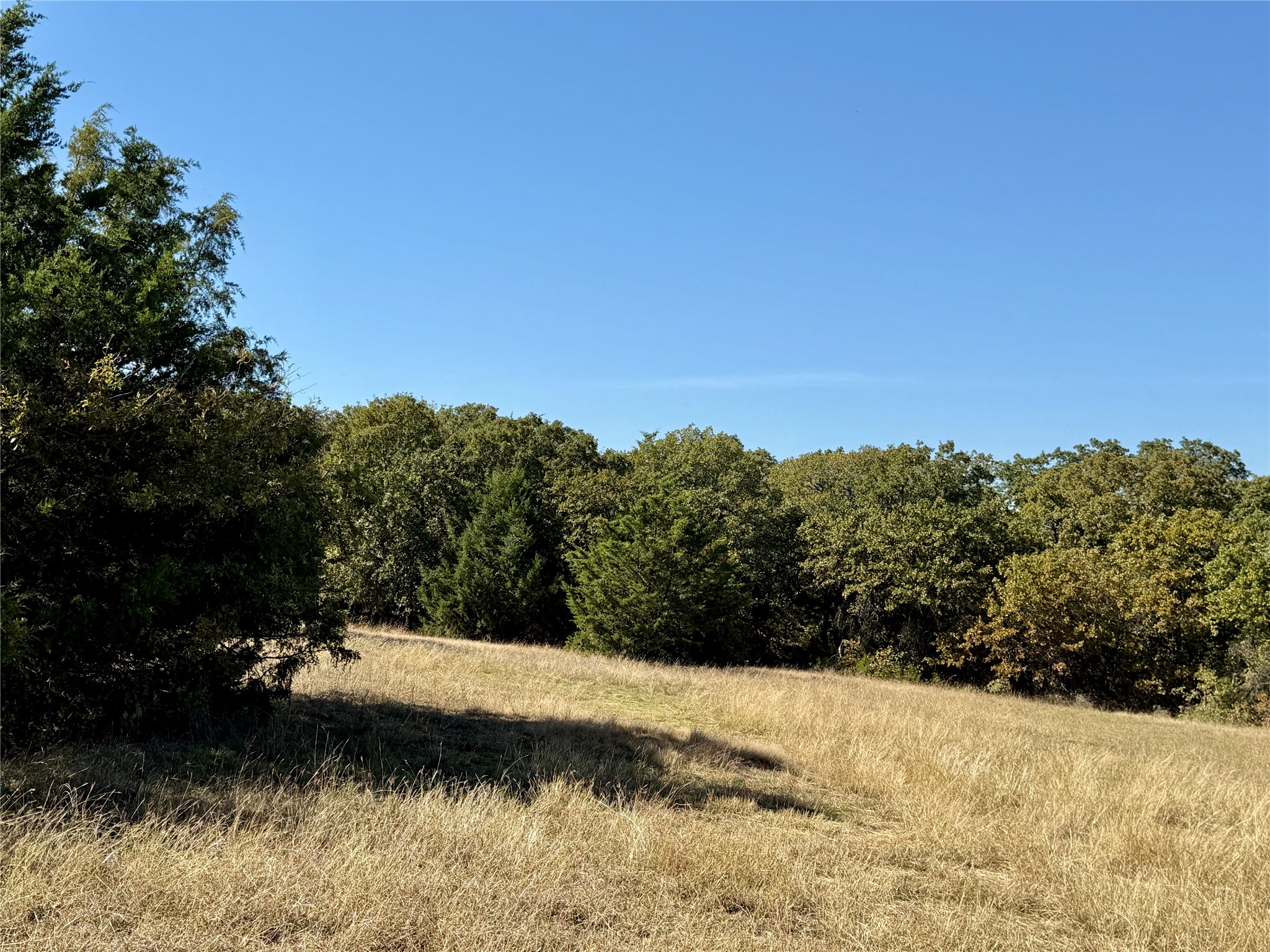 Tbd Big Tree Road Montague TX 76251