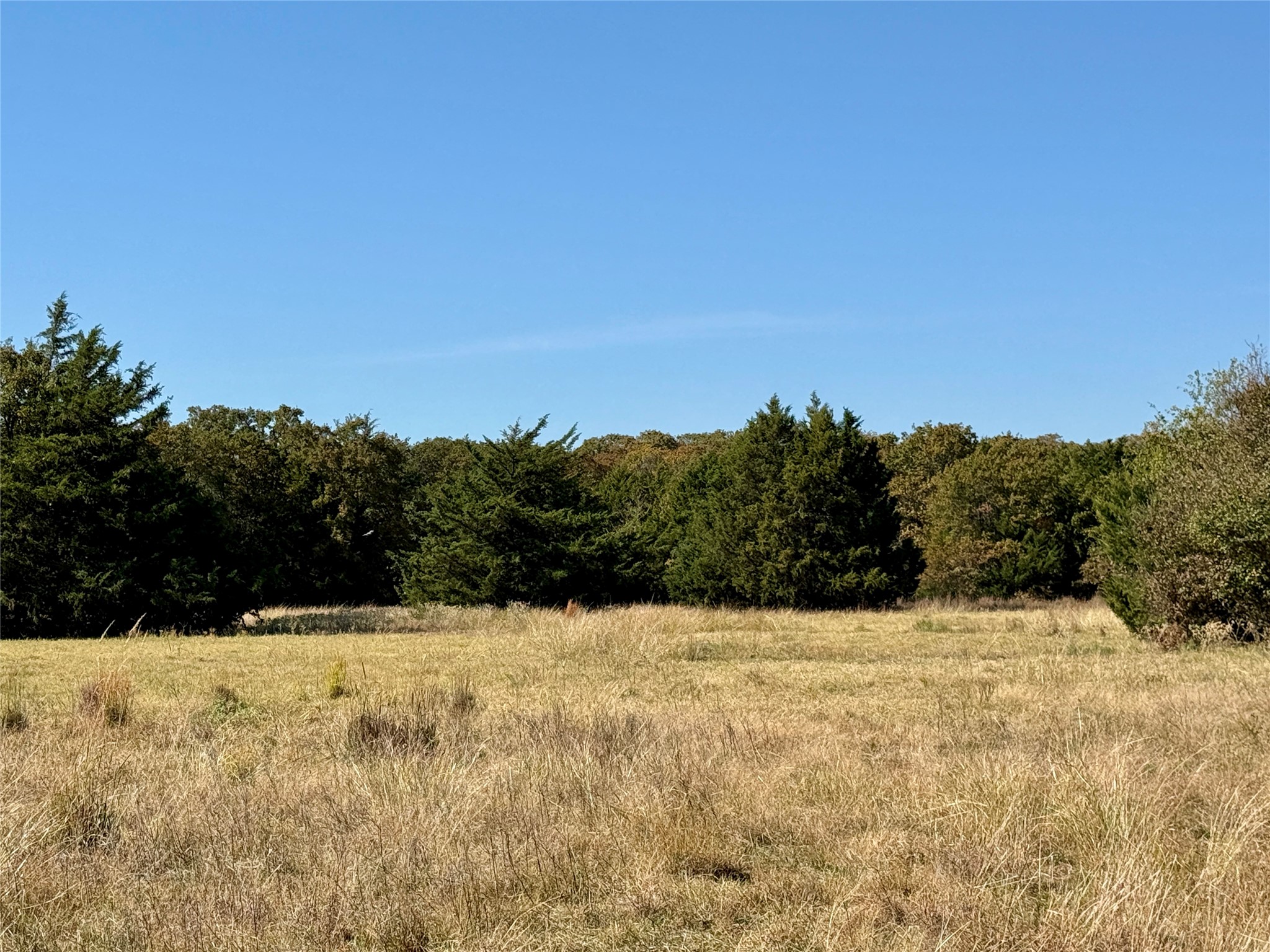 Tbd Big Tree Road Montague TX 76251