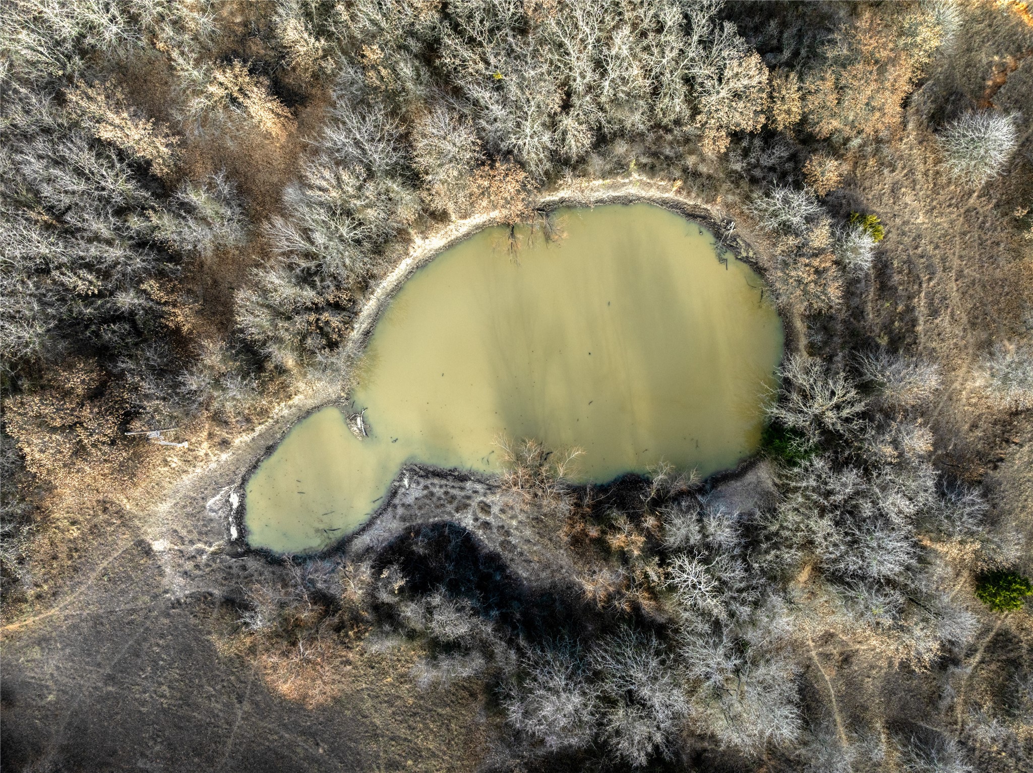 000 Turpin Lake Road Poolville TX 76487