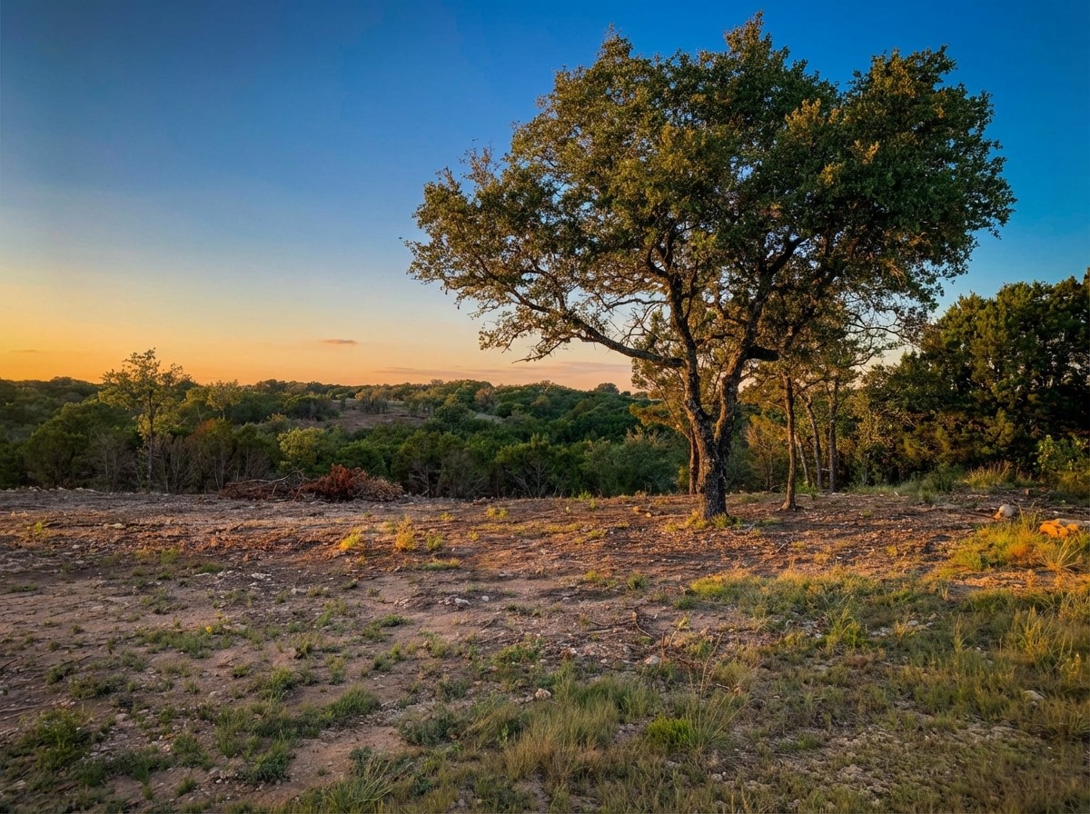 1101 Creek Crossing Road Nemo TX 76070