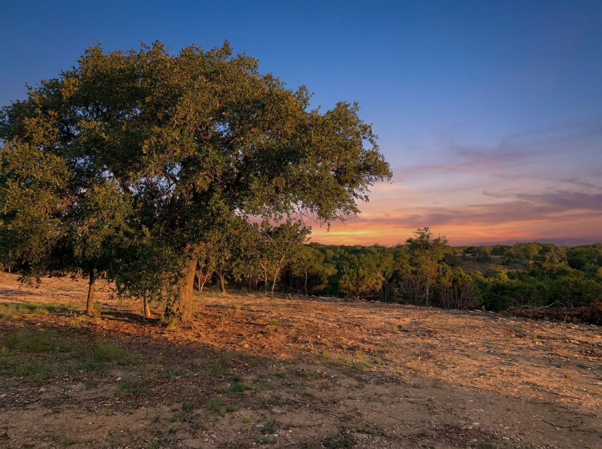 1101 Creek Crossing Road Nemo TX 76070
