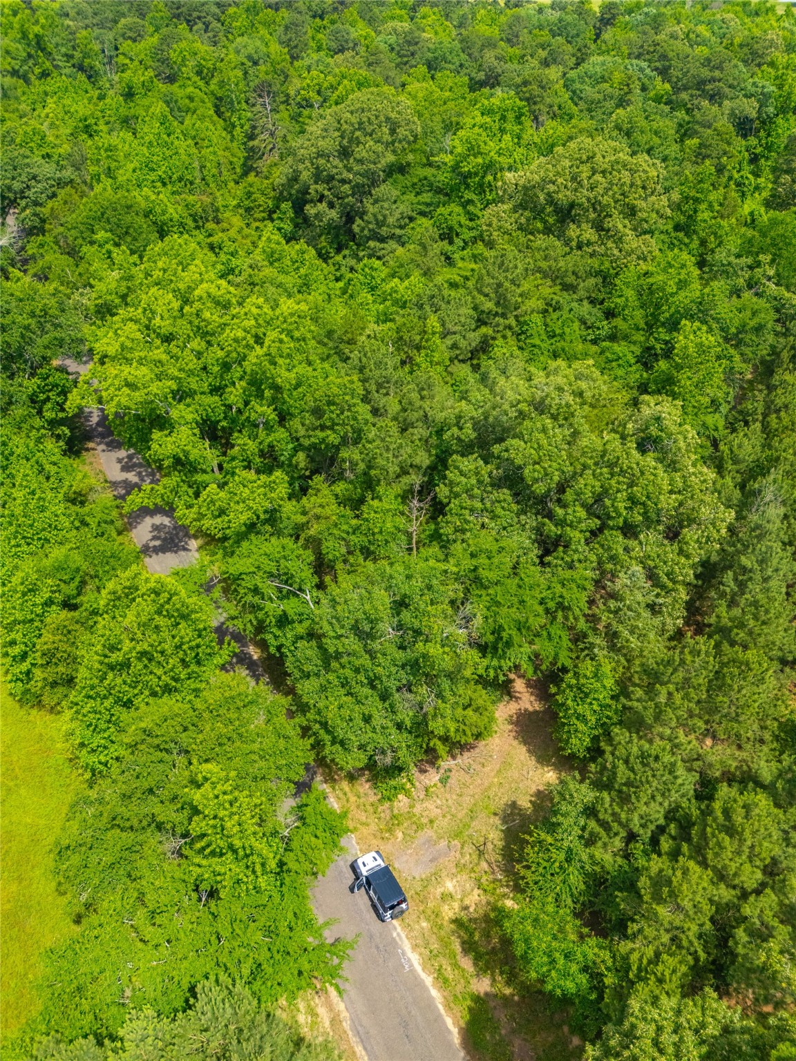4206 Gilliam Lane Naples TX 75568
