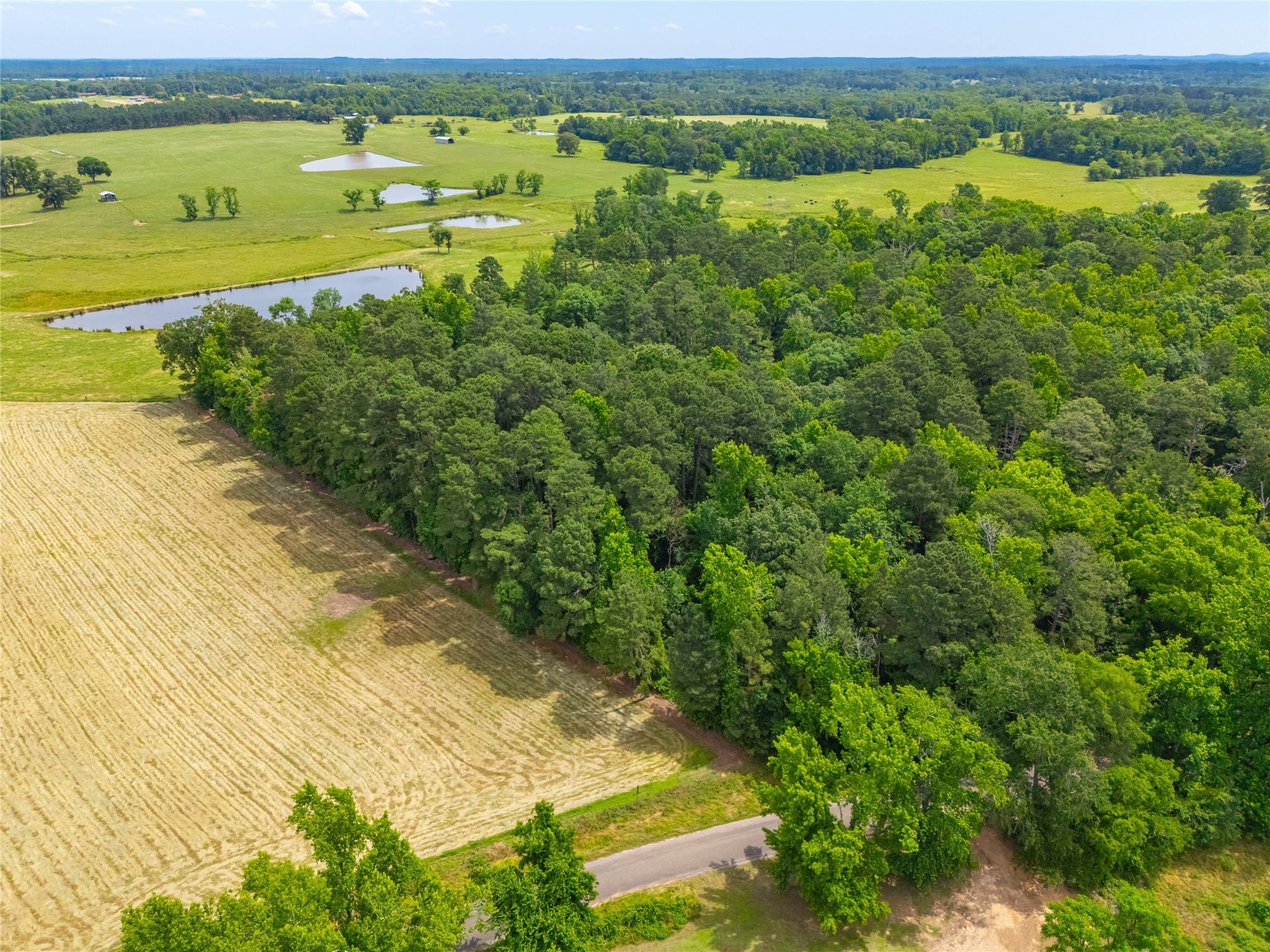 4206 Gilliam Lane Naples TX 75568