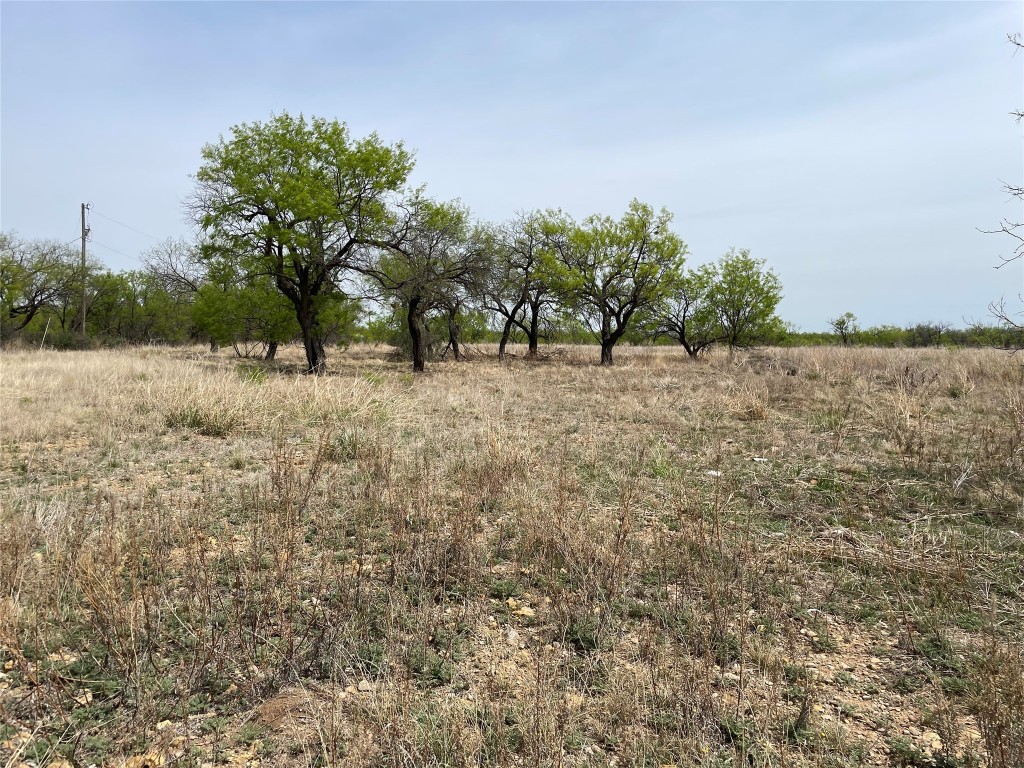Tbd Highway 6 Albany TX 76424