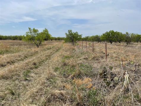 Tbd Highway 6 Albany TX 76424