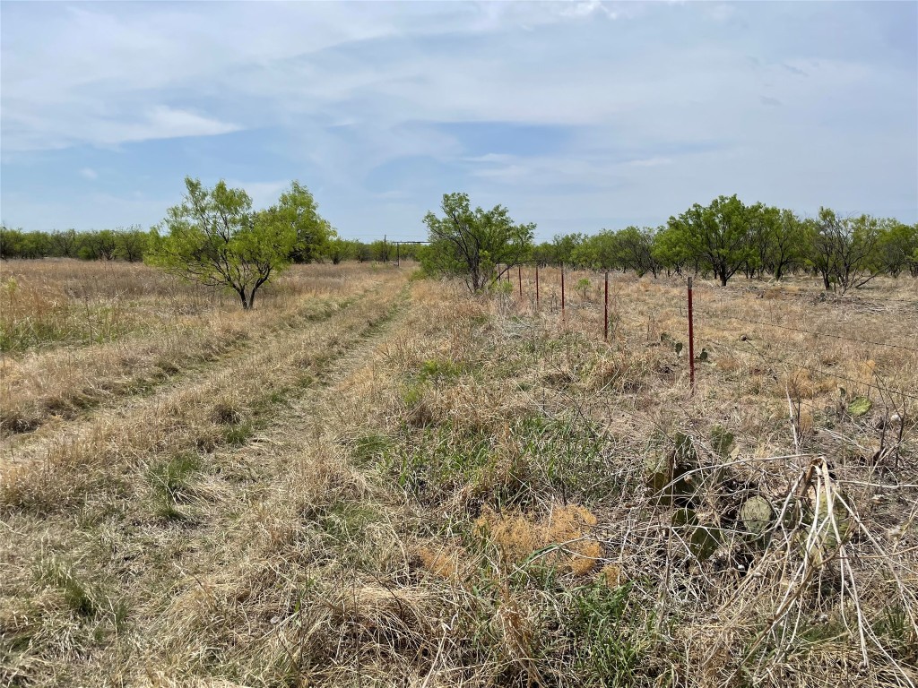 Tbd Highway 6 Albany TX 76424