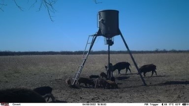 Tbd Highway 6 Albany TX 76424