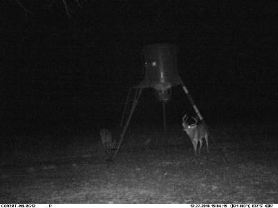 Tbd Highway 6 Albany TX 76424