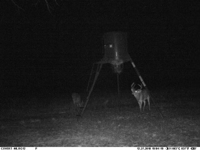 Tbd Highway 6 Albany TX 76424