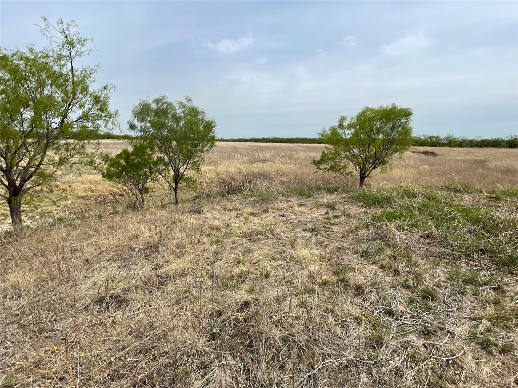 Tbd Highway 6 Albany TX 76424