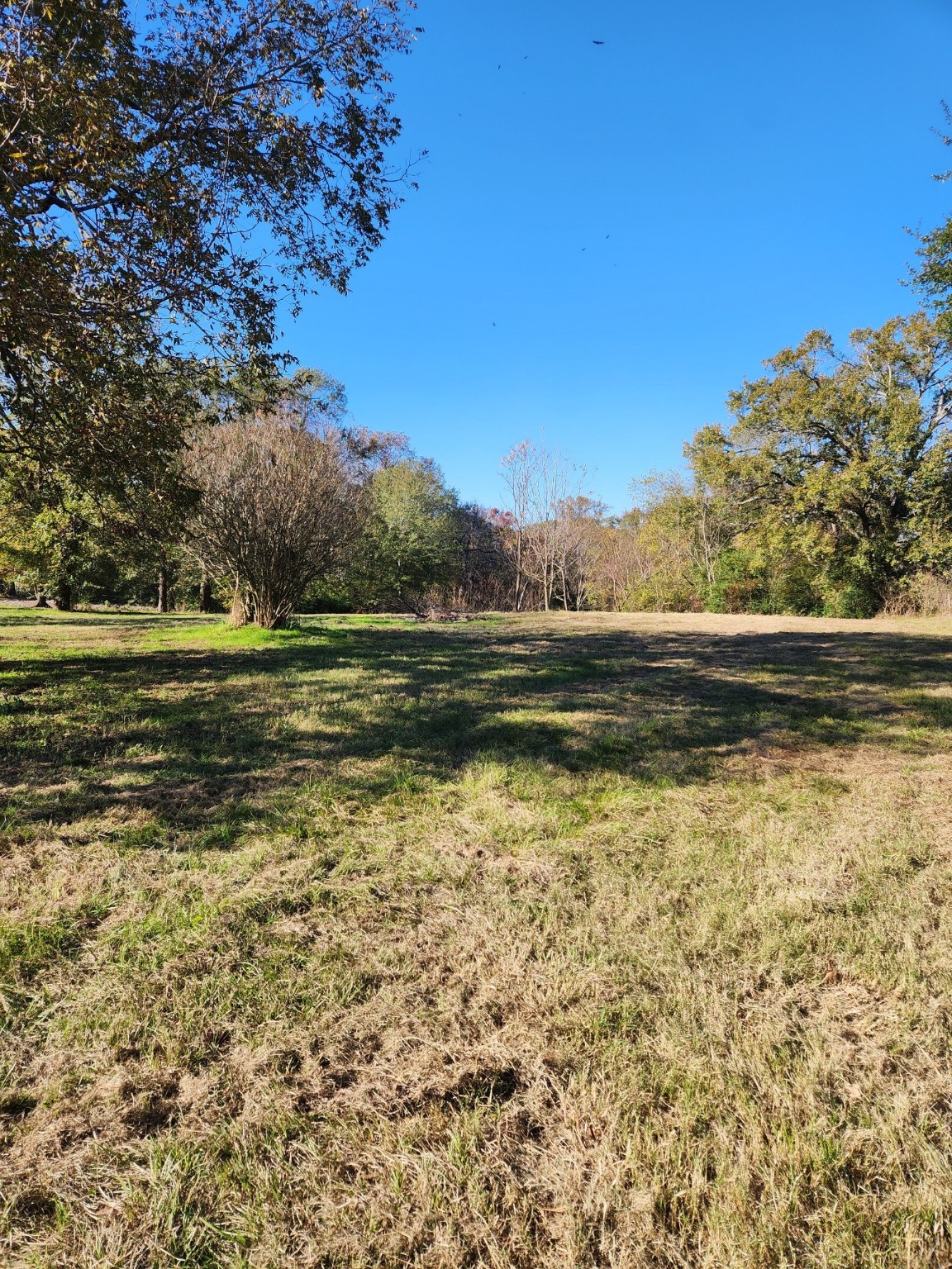 6419 Locust Street Murchison TX 75778