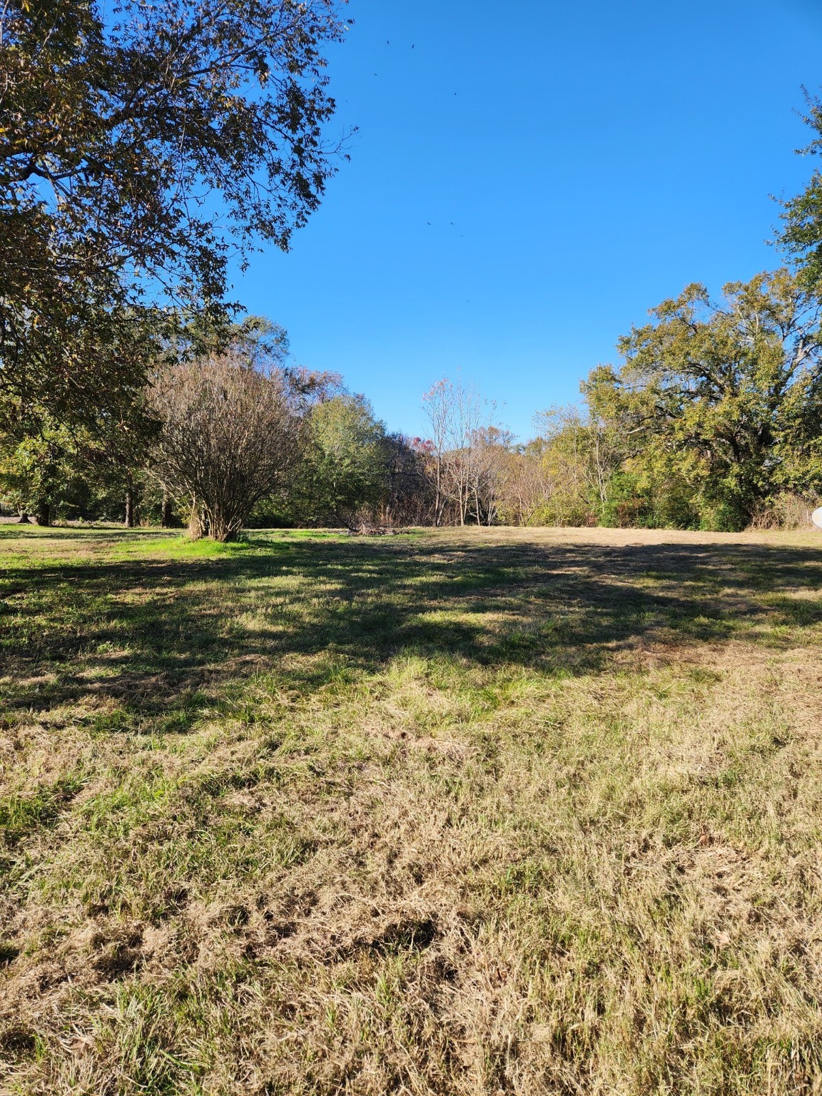6419 Locust Street Murchison TX 75778