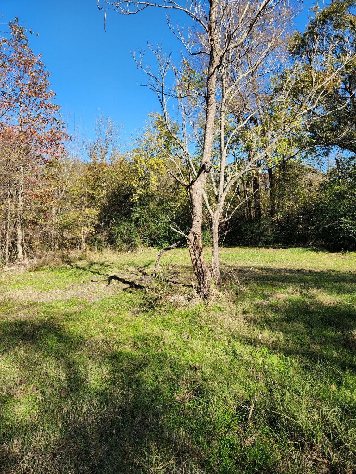 6419 Locust Street Murchison TX 75778