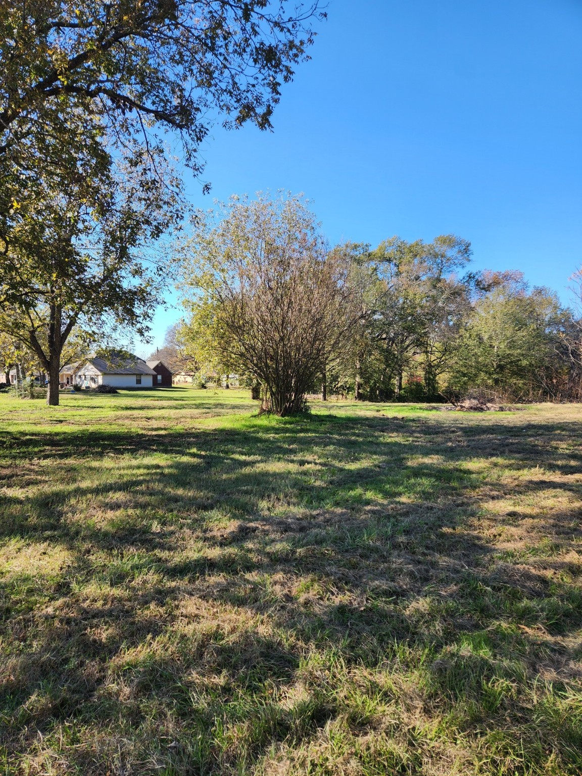 6419 Locust Street Murchison TX 75778
