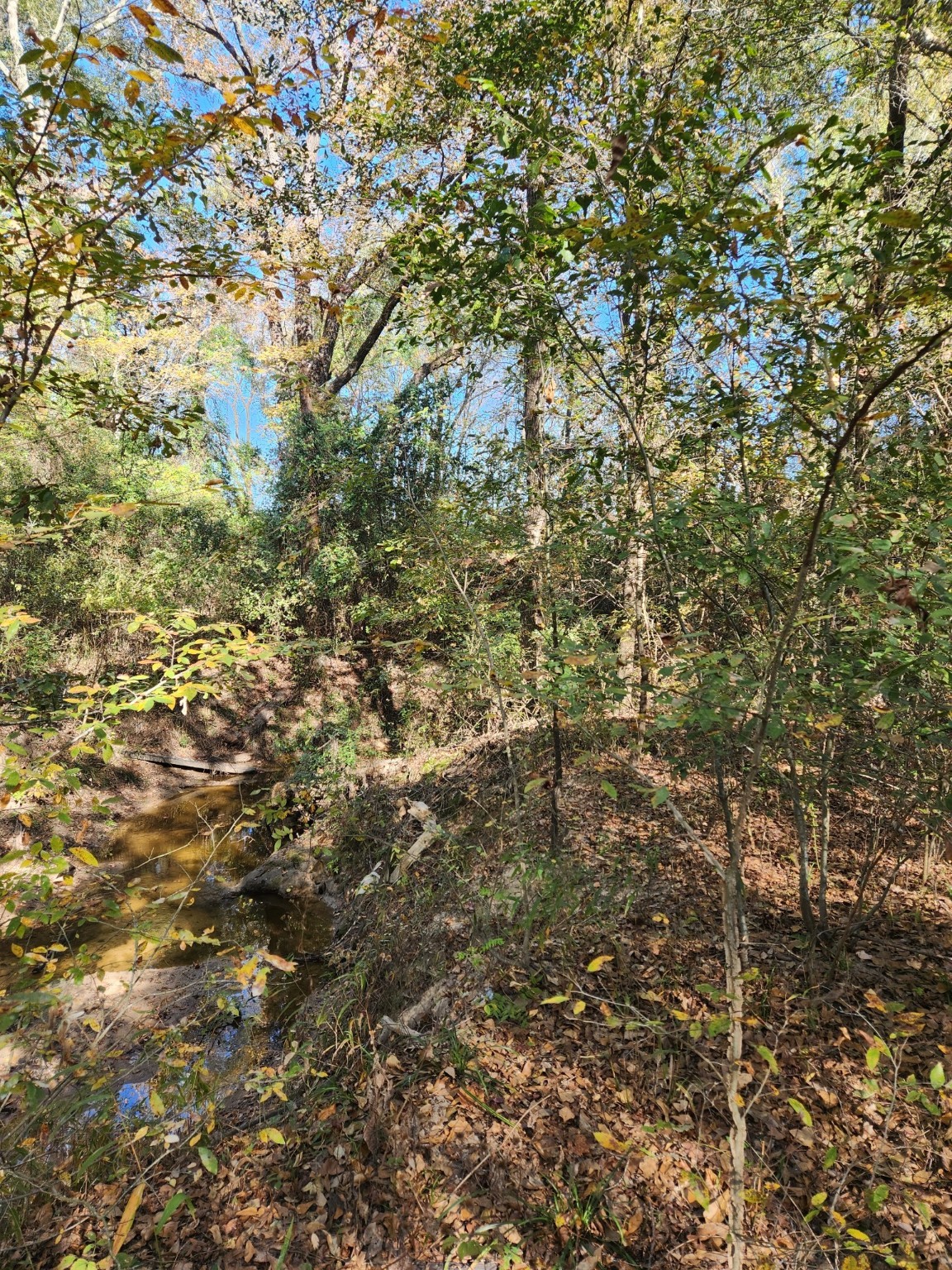 6419 Locust Street Murchison TX 75778