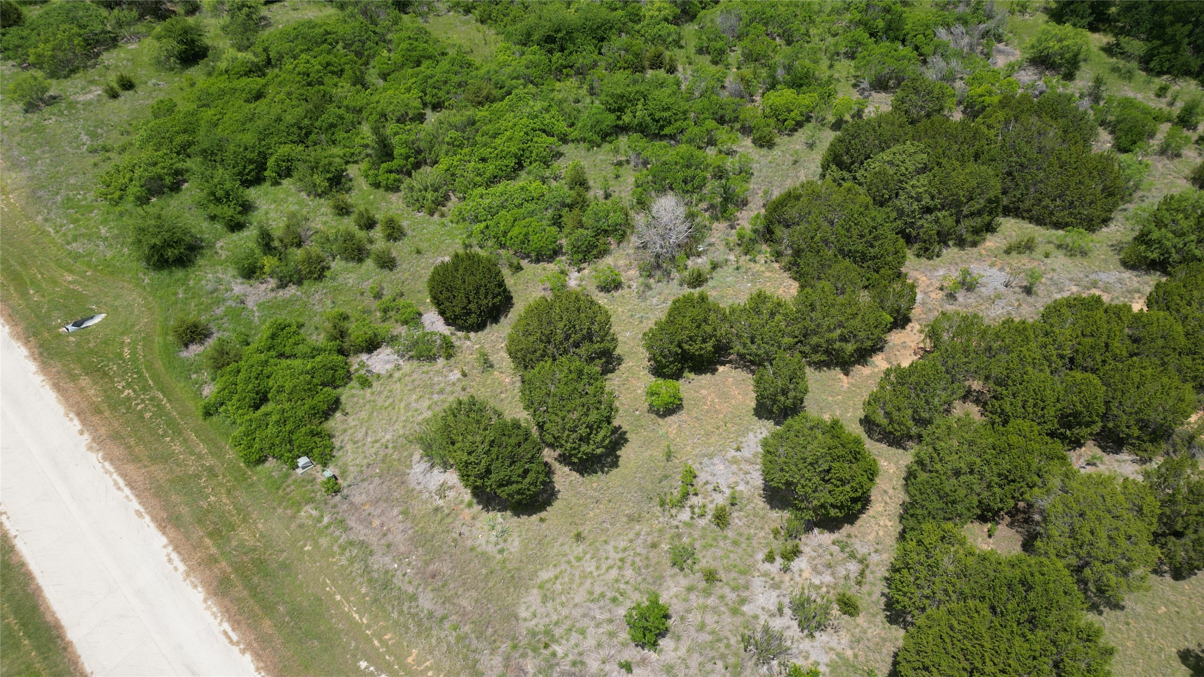 433 Indigo Bush Graford TX 79763