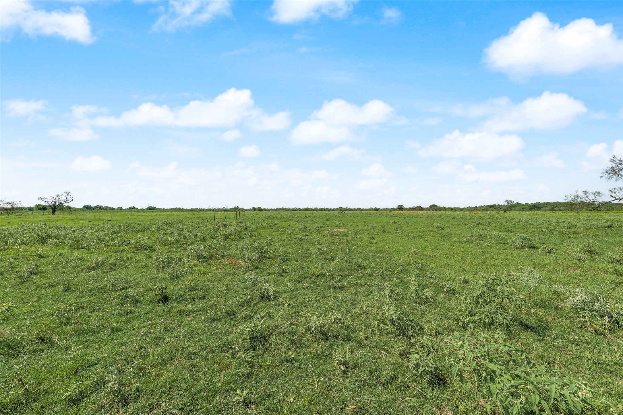 1111 County Road 2805 Honey Grove TX 75446