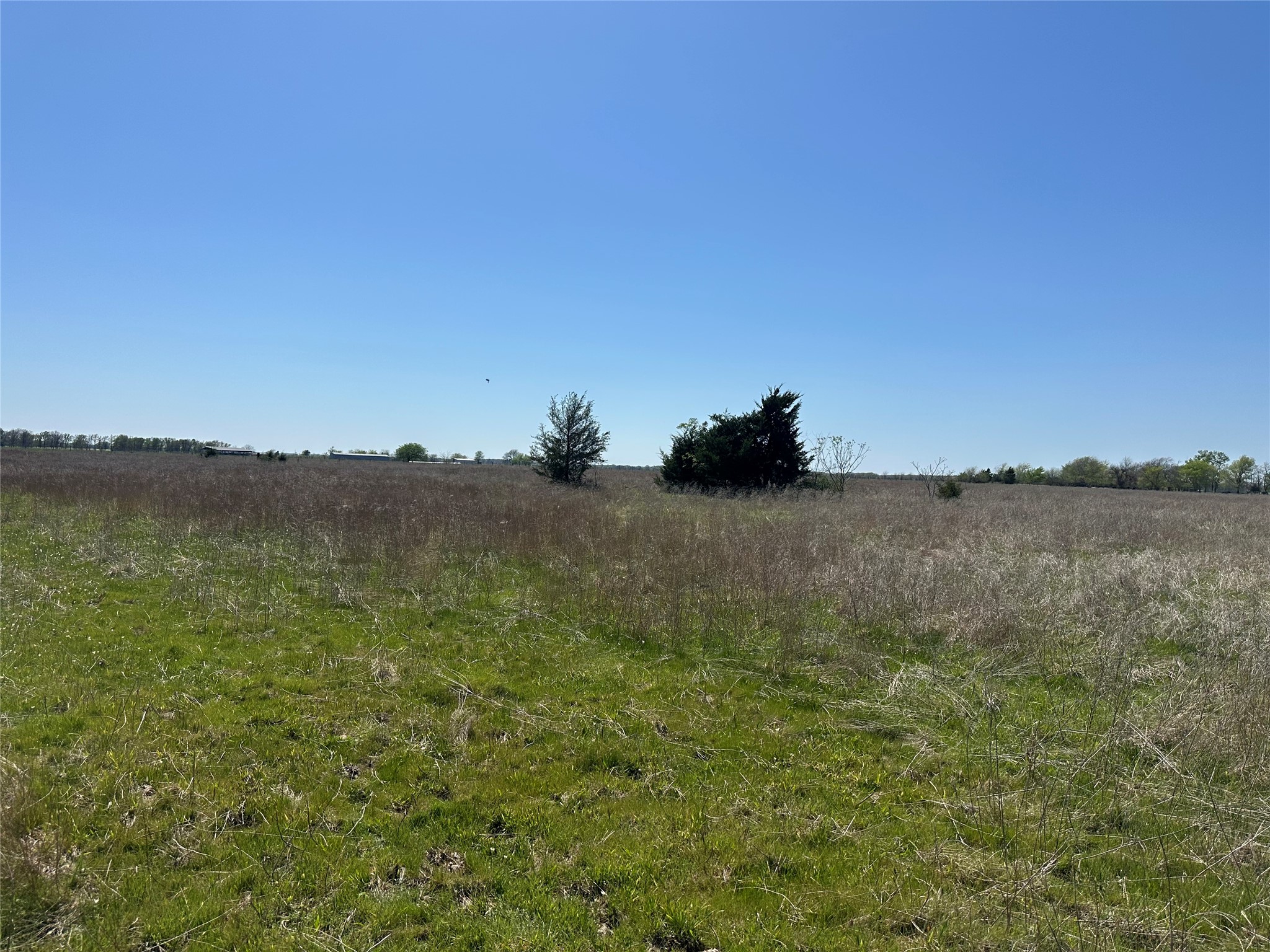 1111 County Road 2805 Honey Grove TX 75446