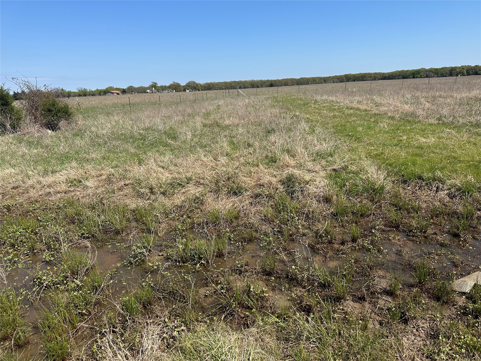1111 County Road 2805 Honey Grove TX 75446