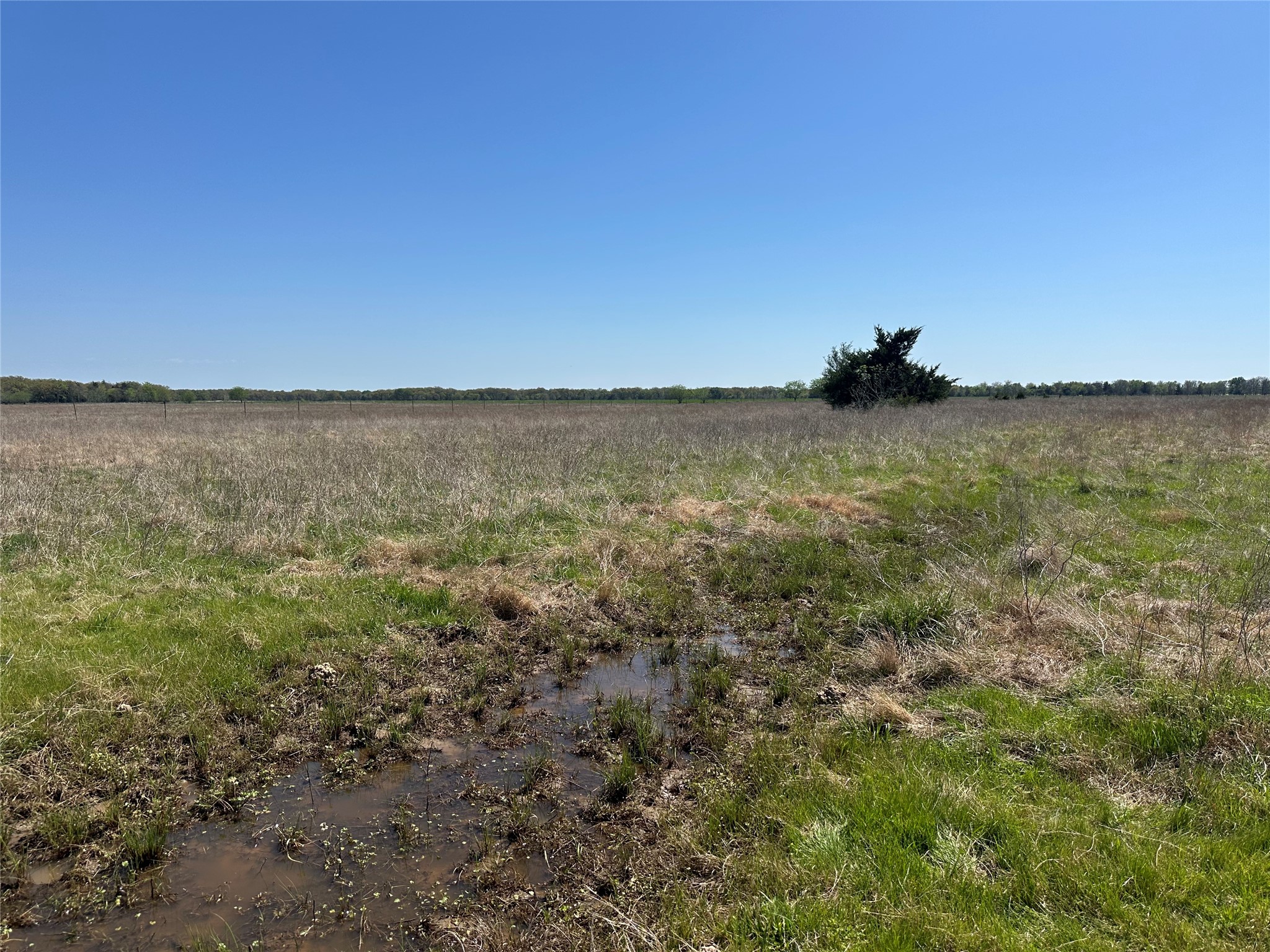 1111 County Road 2805 Honey Grove TX 75446