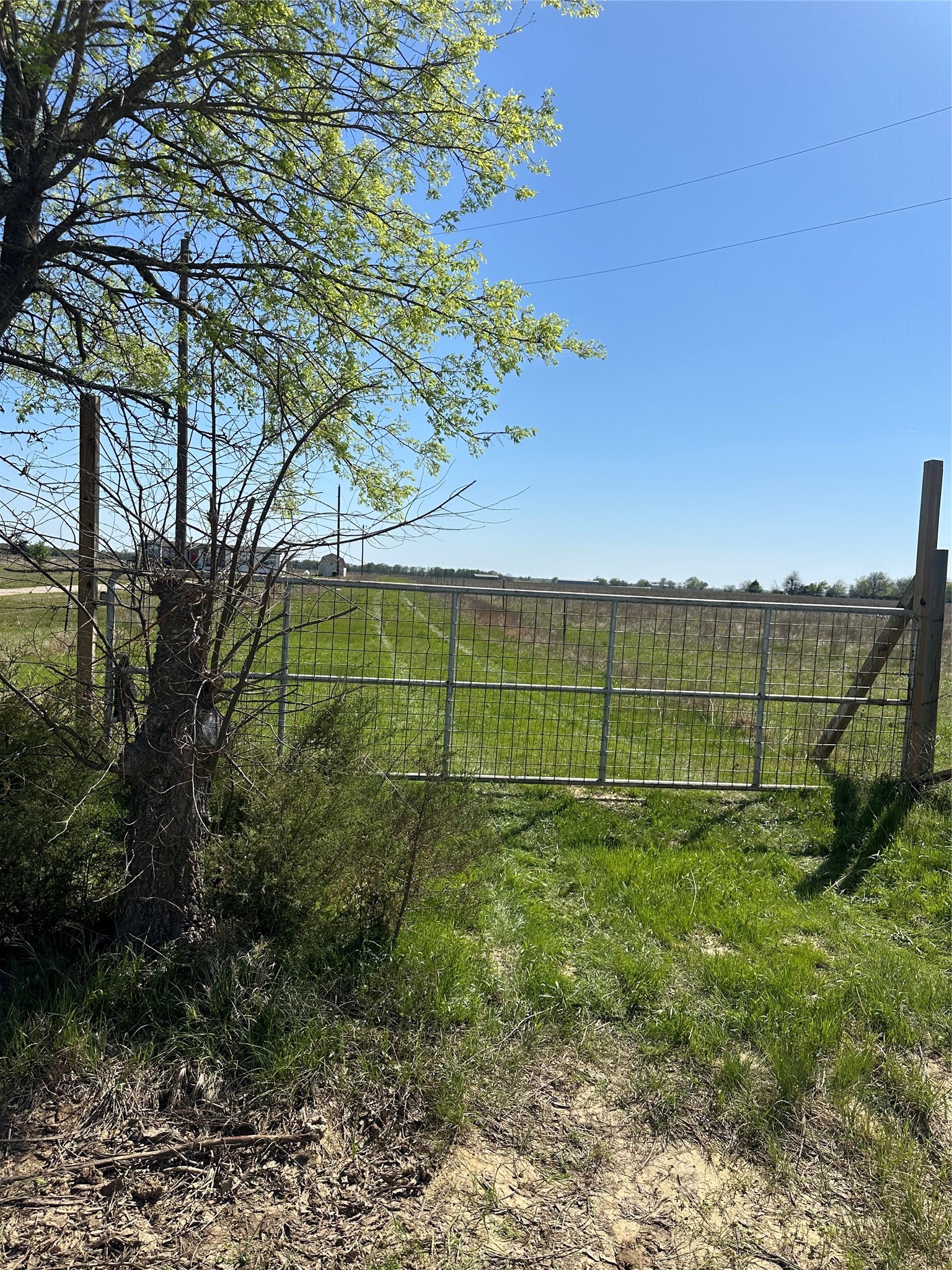 1111 County Road 2805 Honey Grove TX 75446