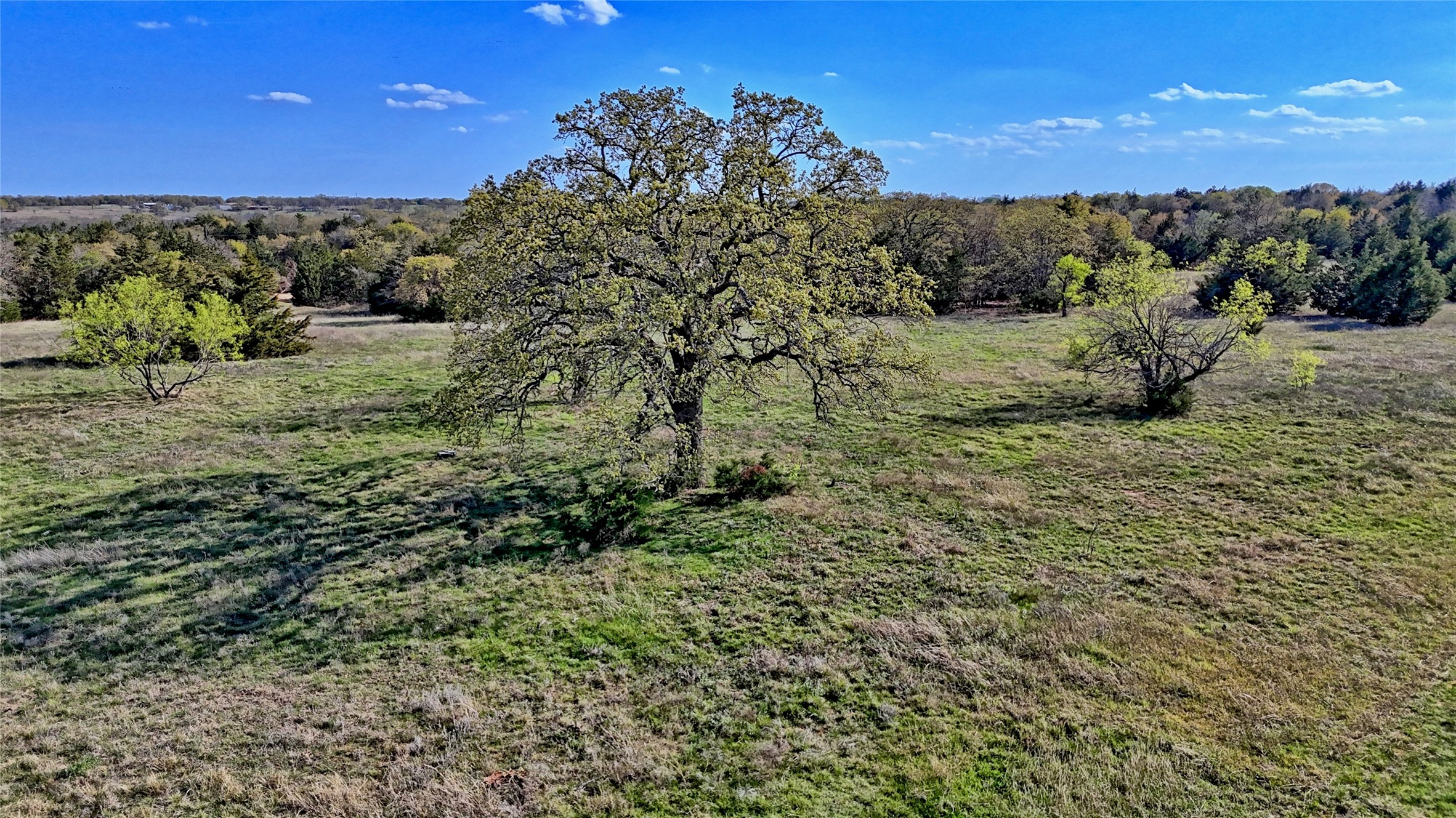 Tbd Cole Road Bowie TX 76230