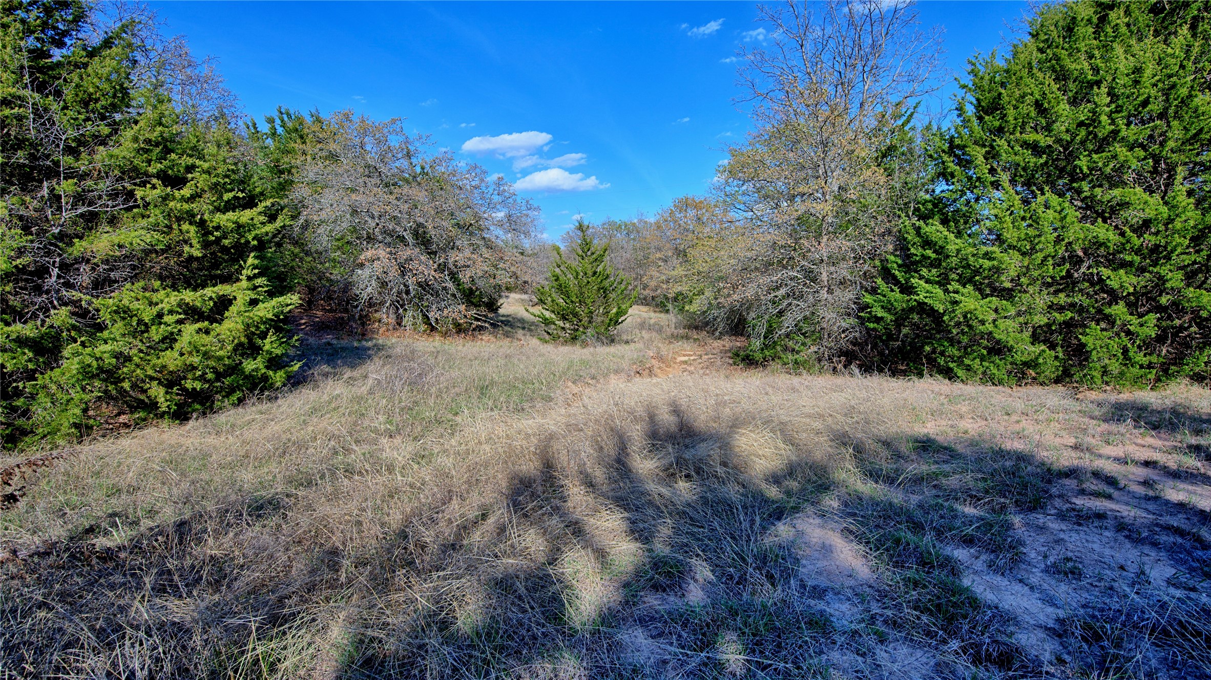 Tbd Cole Road Bowie TX 76230