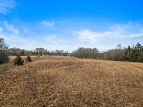 Tbd County Road 2212 Pittsburg TX 75686
