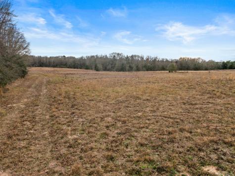 Tbd County Road 2212 Pittsburg TX 75686