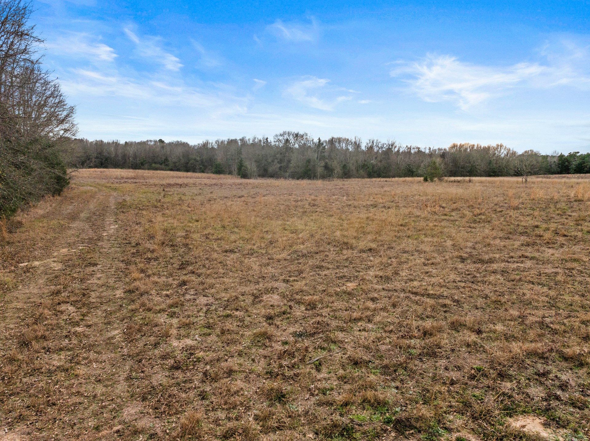 Tbd County Road 2212 Pittsburg TX 75686