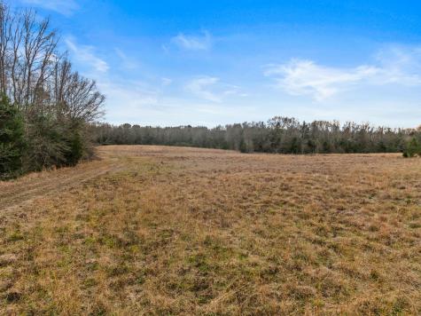 Tbd County Road 2212 Pittsburg TX 75686