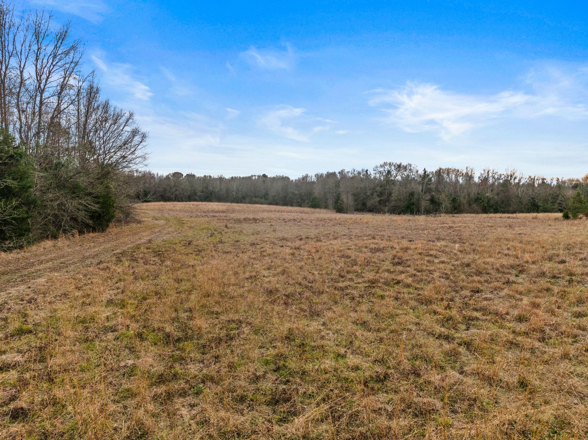 Tbd County Road 2212 Pittsburg TX 75686