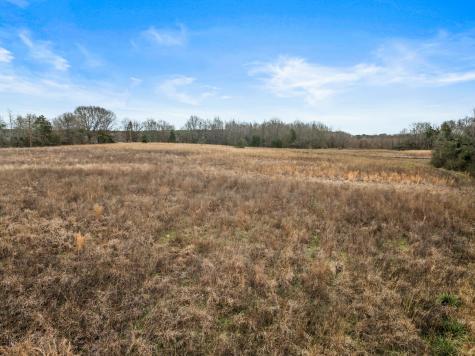 Tbd County Road 2212 Pittsburg TX 75686