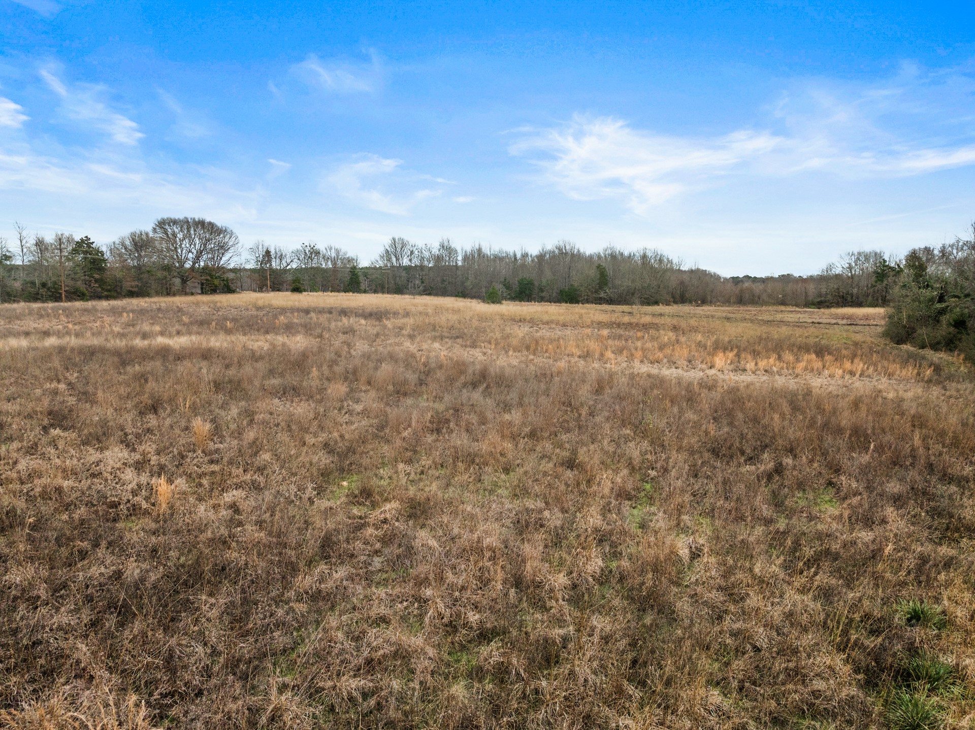 Tbd County Road 2212 Pittsburg TX 75686