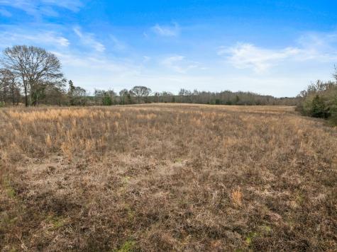 Tbd County Road 2212 Pittsburg TX 75686