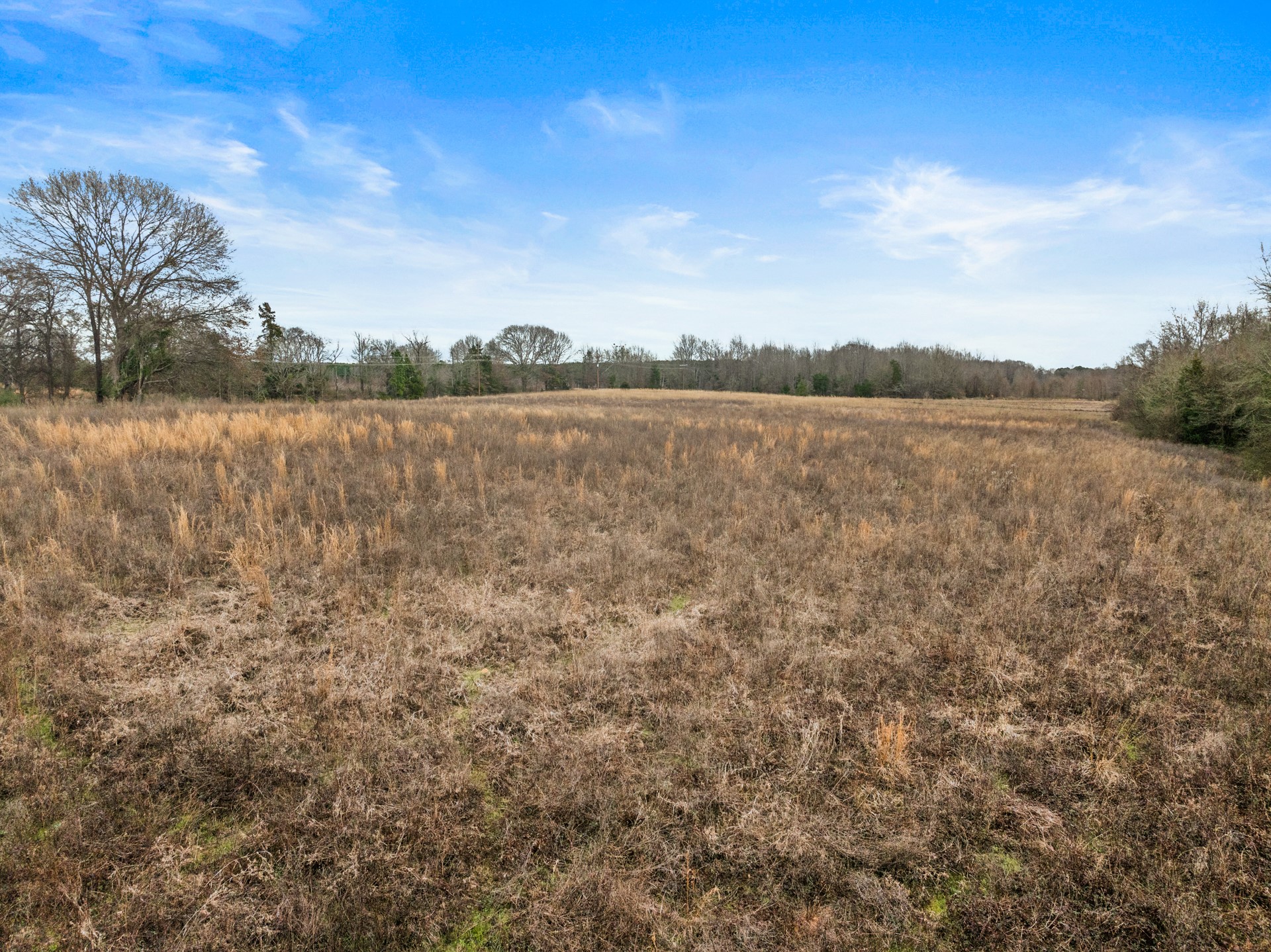 Tbd County Road 2212 Pittsburg TX 75686