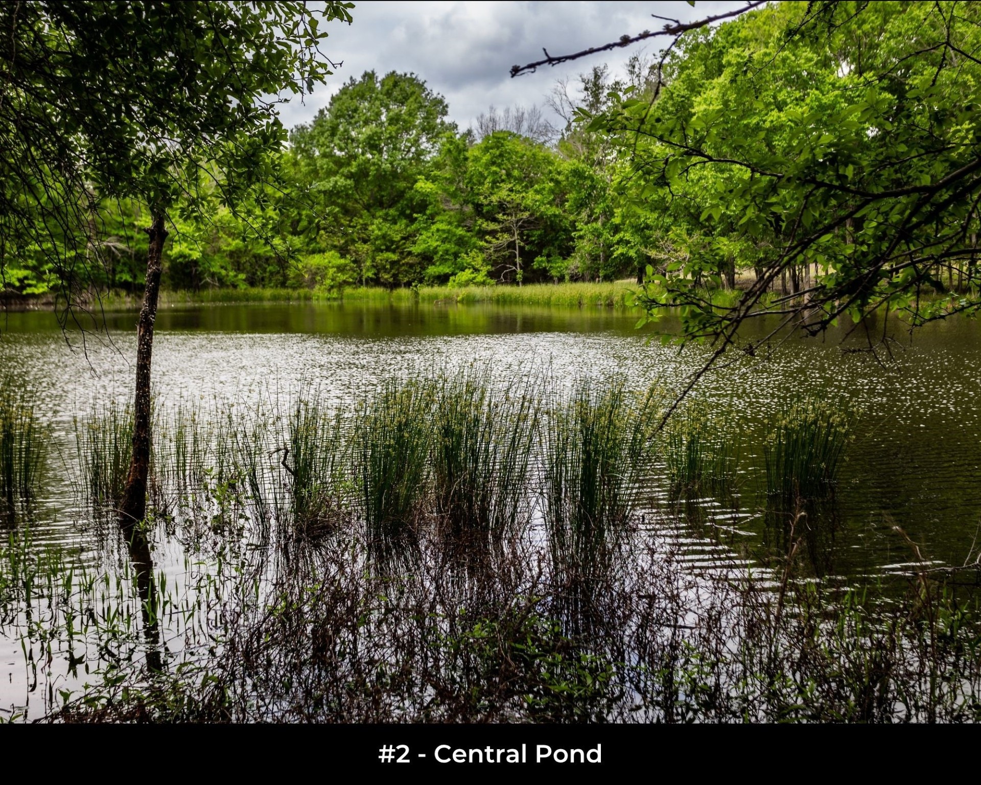 540 Vz County Road 2916 Eustace TX 75124