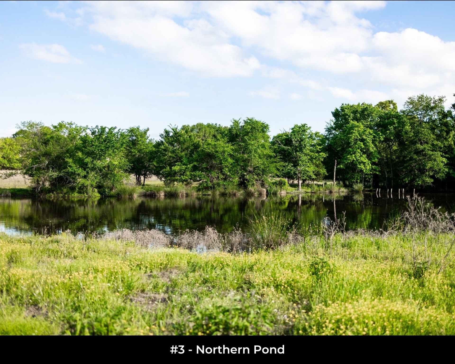 540 Vz County Road 2916 Eustace TX 75124
