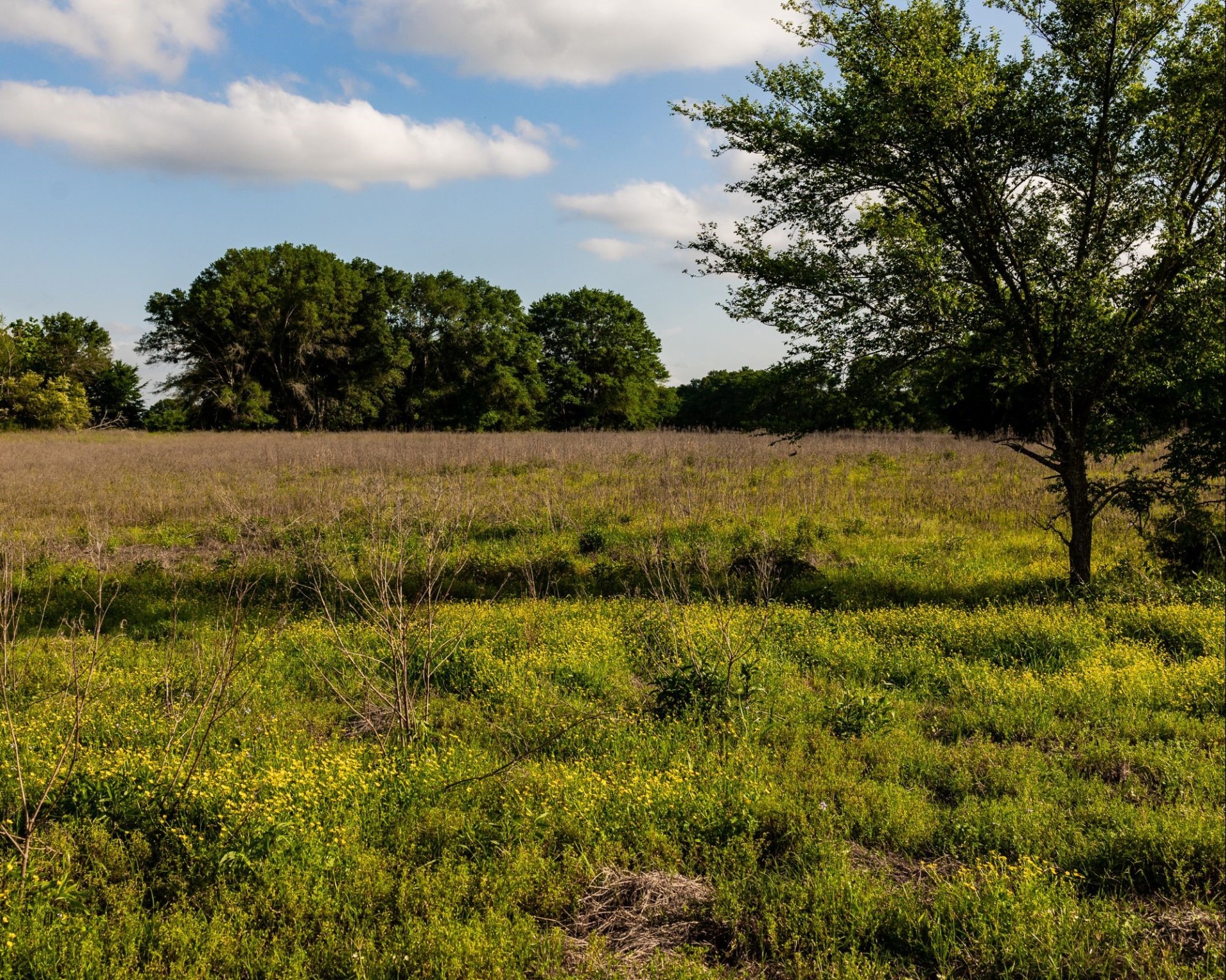 540 Vz County Road 2916 Eustace TX 75124