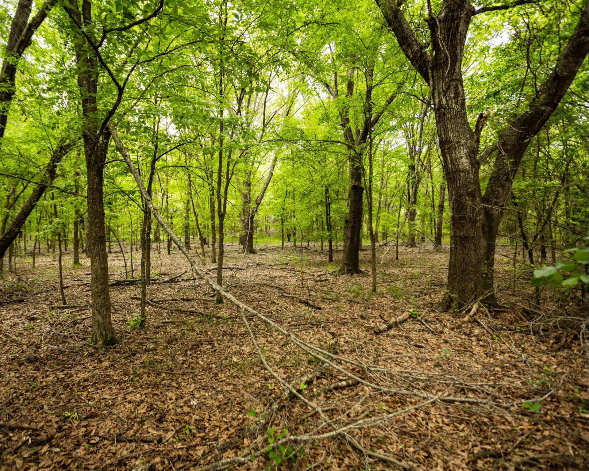 540 Vz County Road 2916 Eustace TX 75124