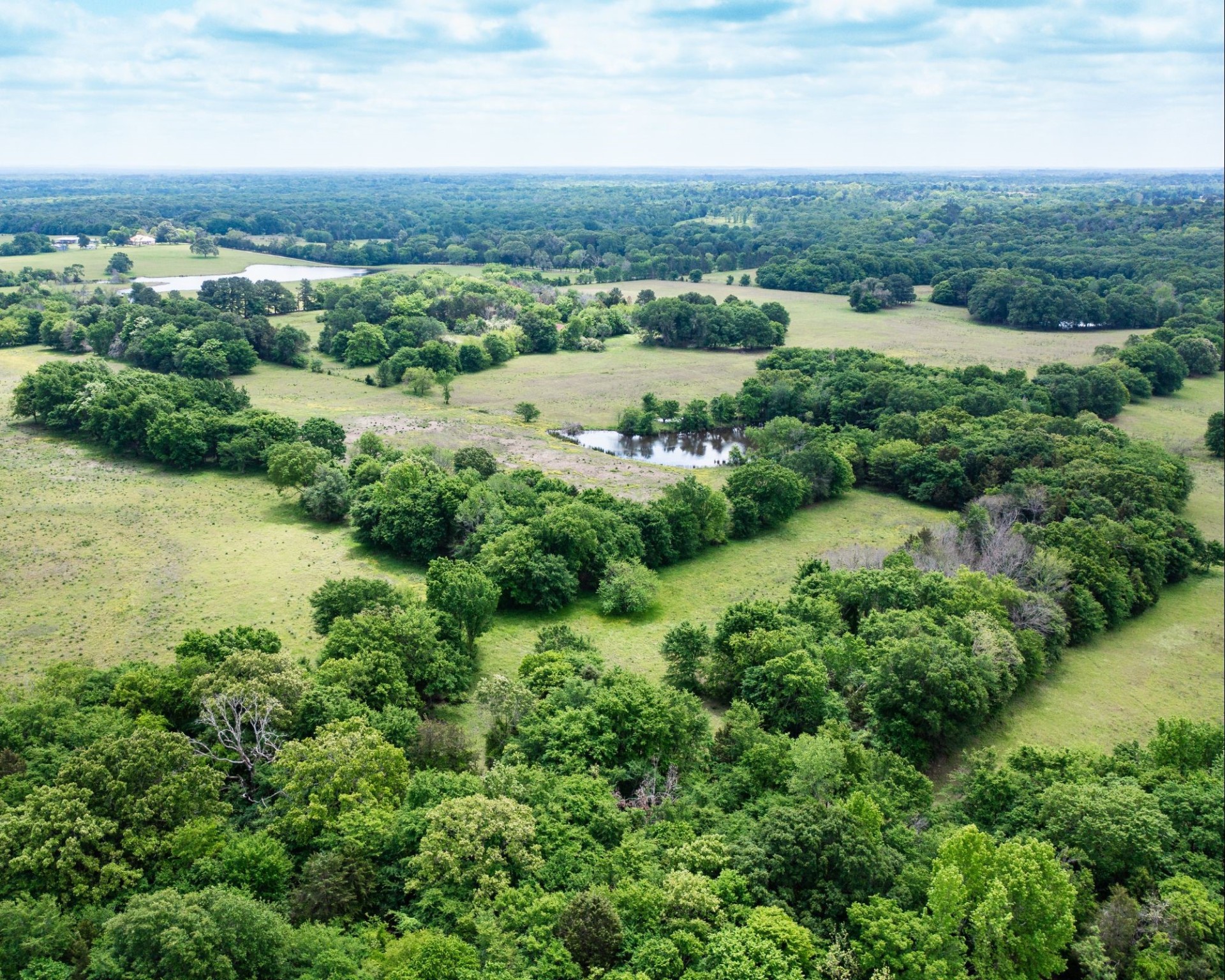 540 Vz County Road 2916 Eustace TX 75124