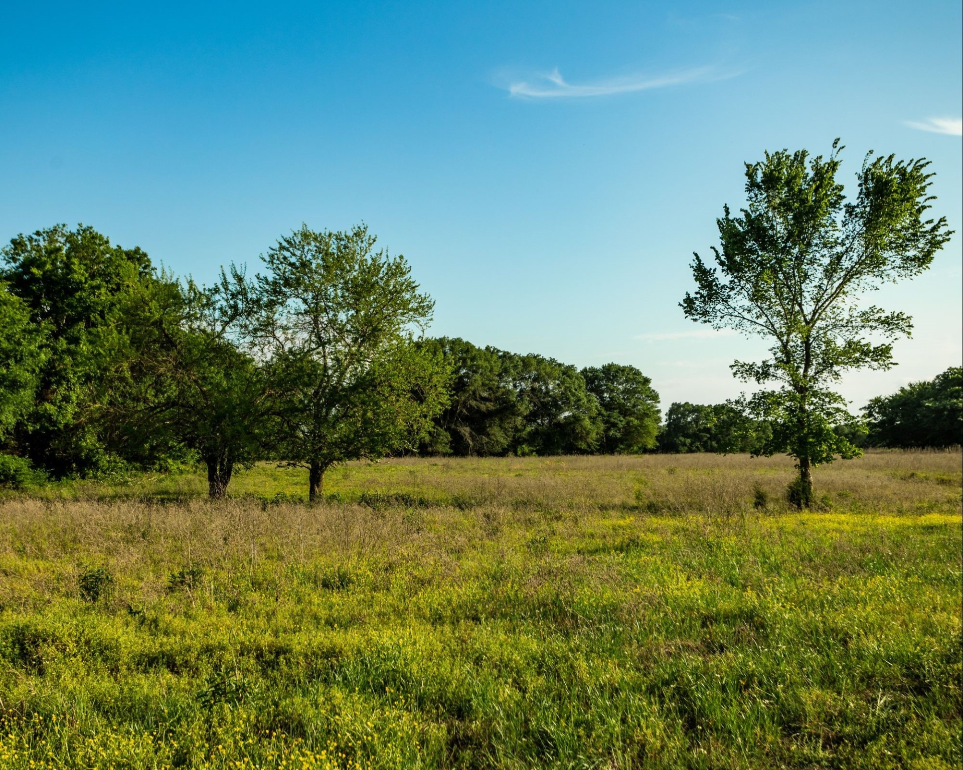 540 Vz County Road 2916 Eustace TX 75124